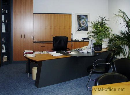 circon executive desk in command design