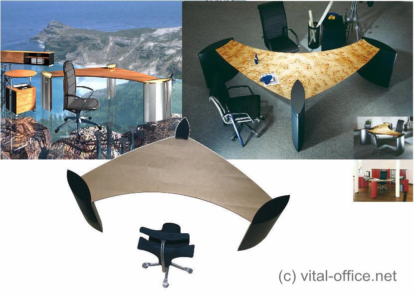circon executive desk in wing design
